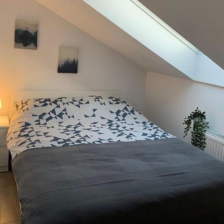 Ostrów WielkopolskiApartament Pod Gwiazdami公寓 外观 照片